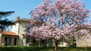 A house with a well-maintained lawn and a large flowering tree in front. - bed & Breakfast (Sonnac)