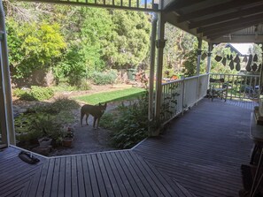 A wooden deck with a dog standing on a gravel path surrounded by greenery. - Foxhouse (Aireys Inlet)