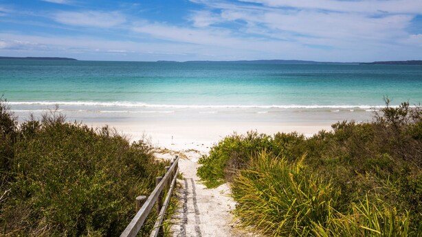 A beach path leading to the ocean with a wooden fence and vegetation on either side. - Peppertree Jervis Bay - Pet Friendly Beachfront with Sea Views (Callala Beach)