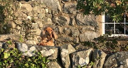 Beautiful Cottage Near Harlech With Ocean Views