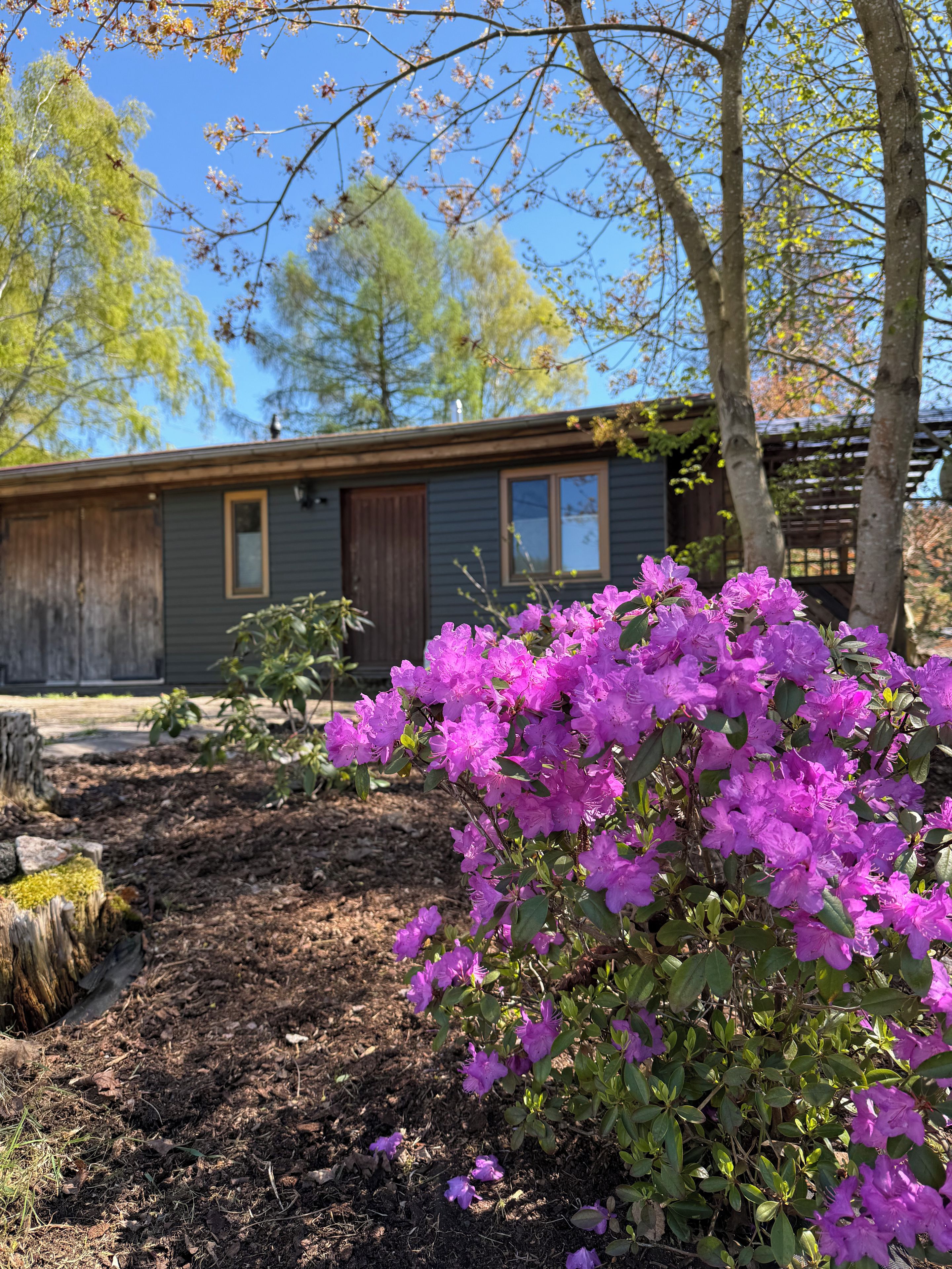 A house with a garden, a wooden deck, and a clear blue sky.