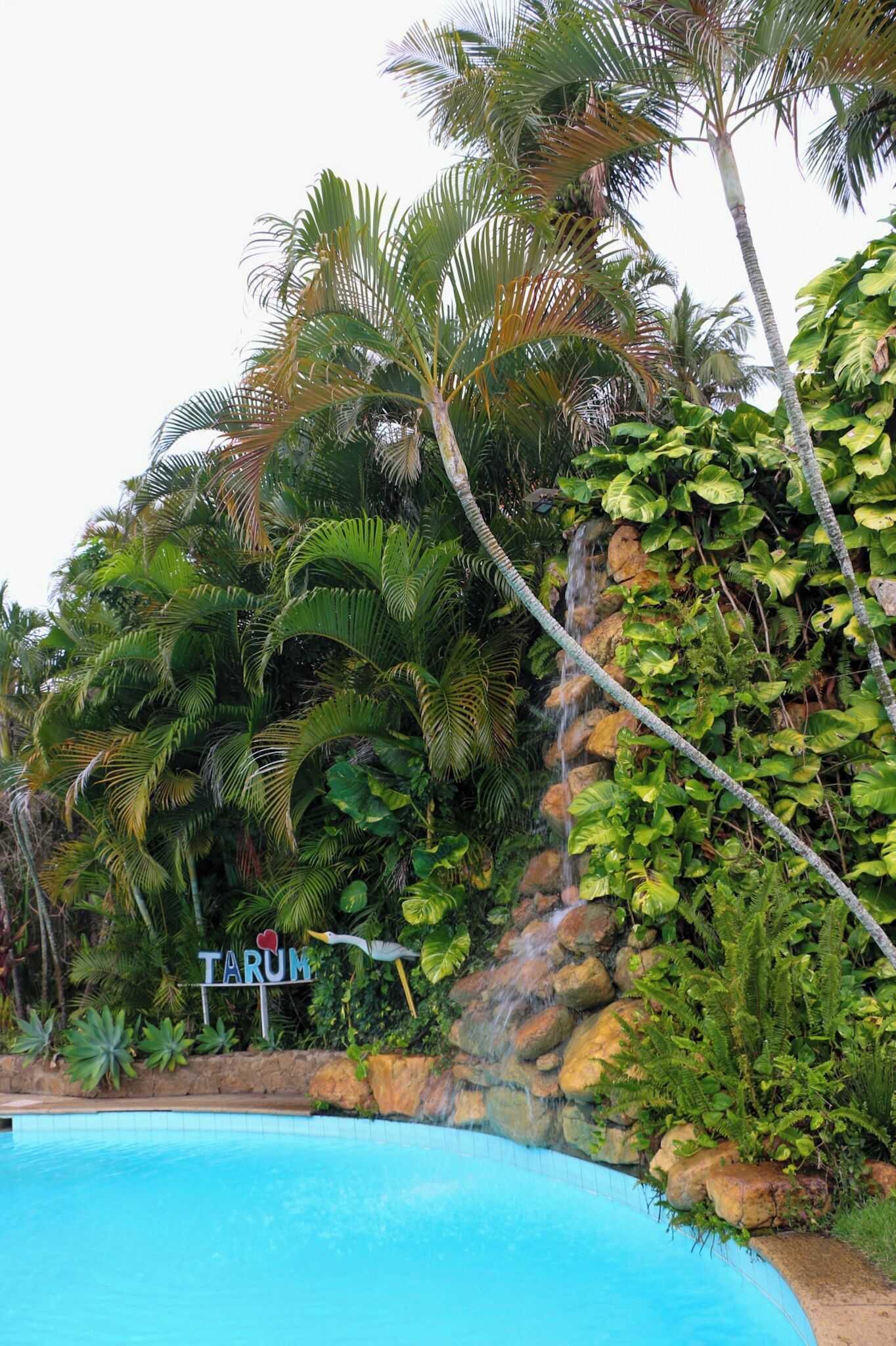 Piscina externa, espreguiçadeiras