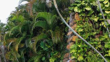 Piscina externa, espreguiçadeiras