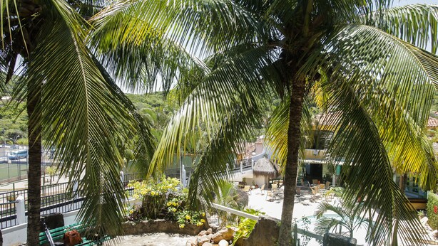 Zona de piscina con palmeras, una banca y una pequeña cascada.
