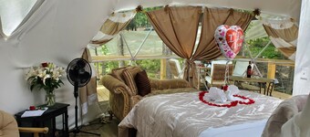 Luxury Glamping Domes