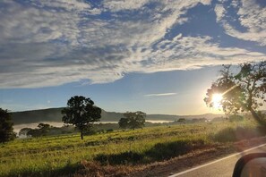 Un paysage rural avec une route, des arbres et un lever ou un coucher de soleil.