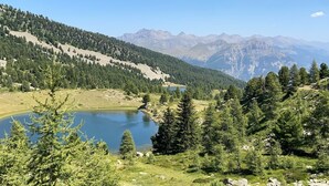 A mountainous landscape with a lake, dense forest, and distant peaks.
