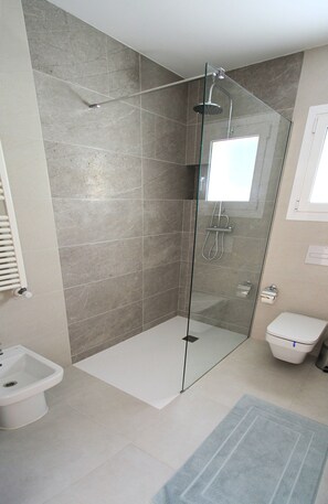 Shower, hair dryer, bidet, towels