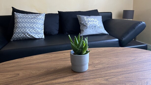 Un salon moderne avec un canapé en cuir noir, des coussins à motifs, une petite plante en pot et une table basse en bois.