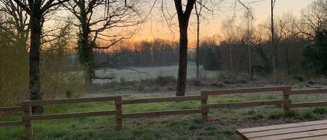 المنطقة المحيطة بالمنشأة