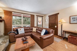 Smart TV, fireplace, books, music library