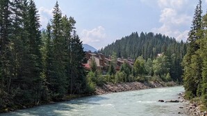 Une rivière traverse une forêt, et de l’autre côté, sur la rive opposée, se trouvent des bâtiments.