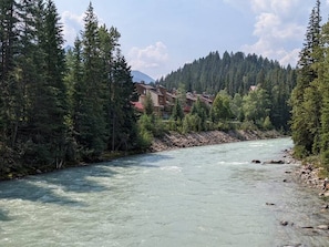 A river flowing through a forest with buildings on the opposite bank.
