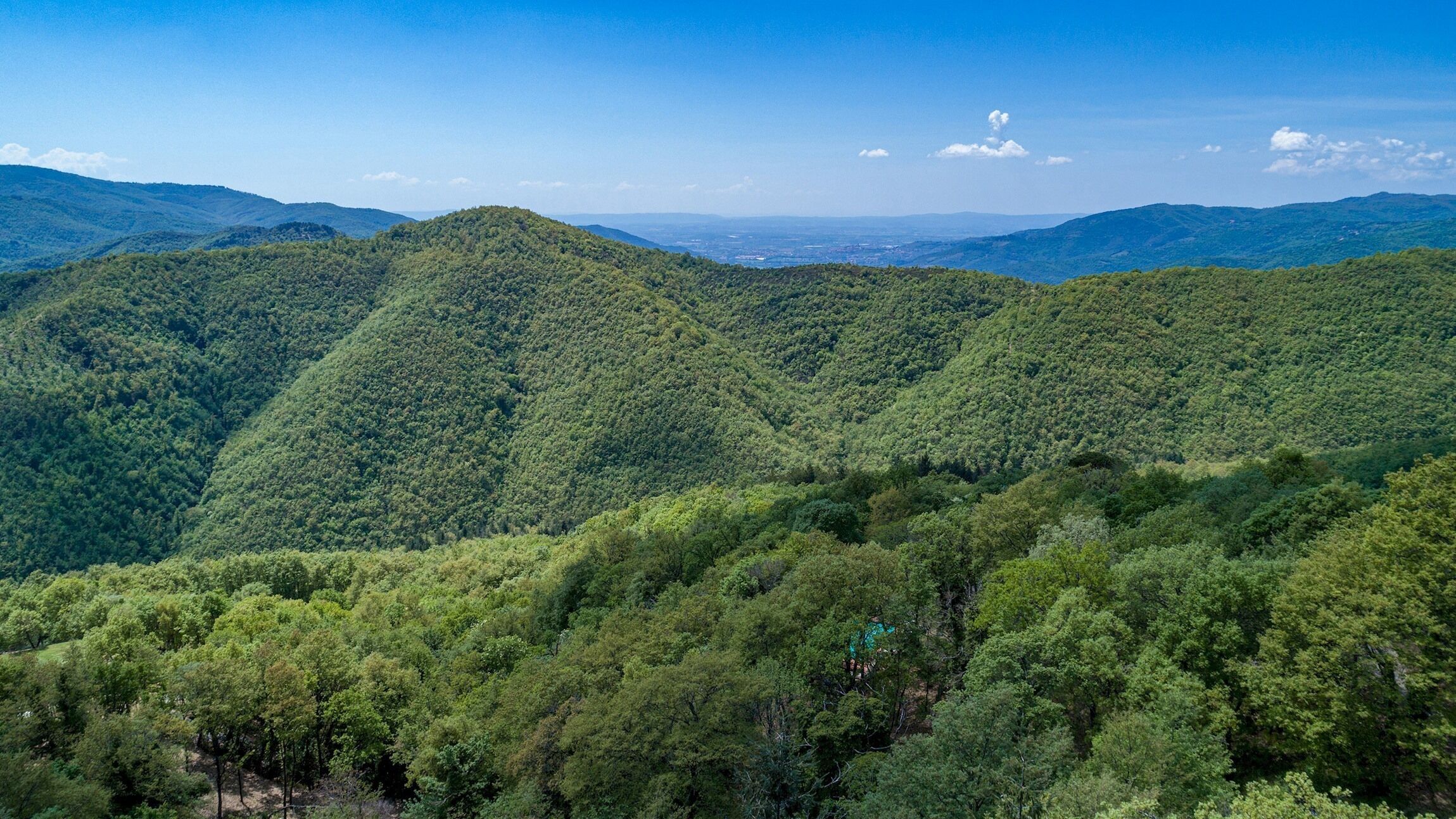 Eine gebirgige Landschaft mit dichtem Wald.