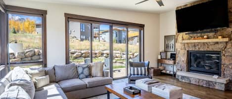 Smart TV, fireplace, books