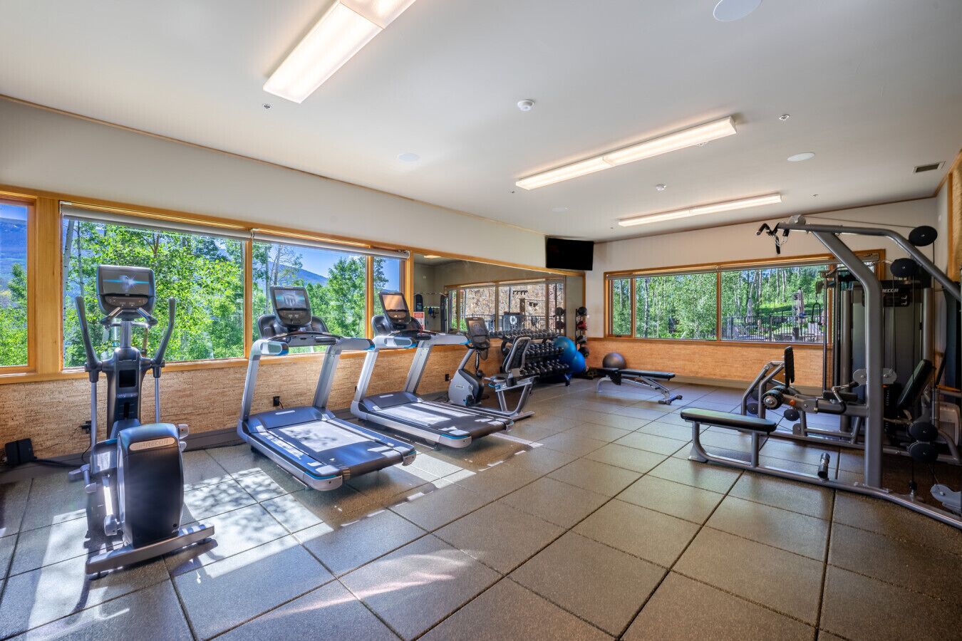 The Aspen House Gym