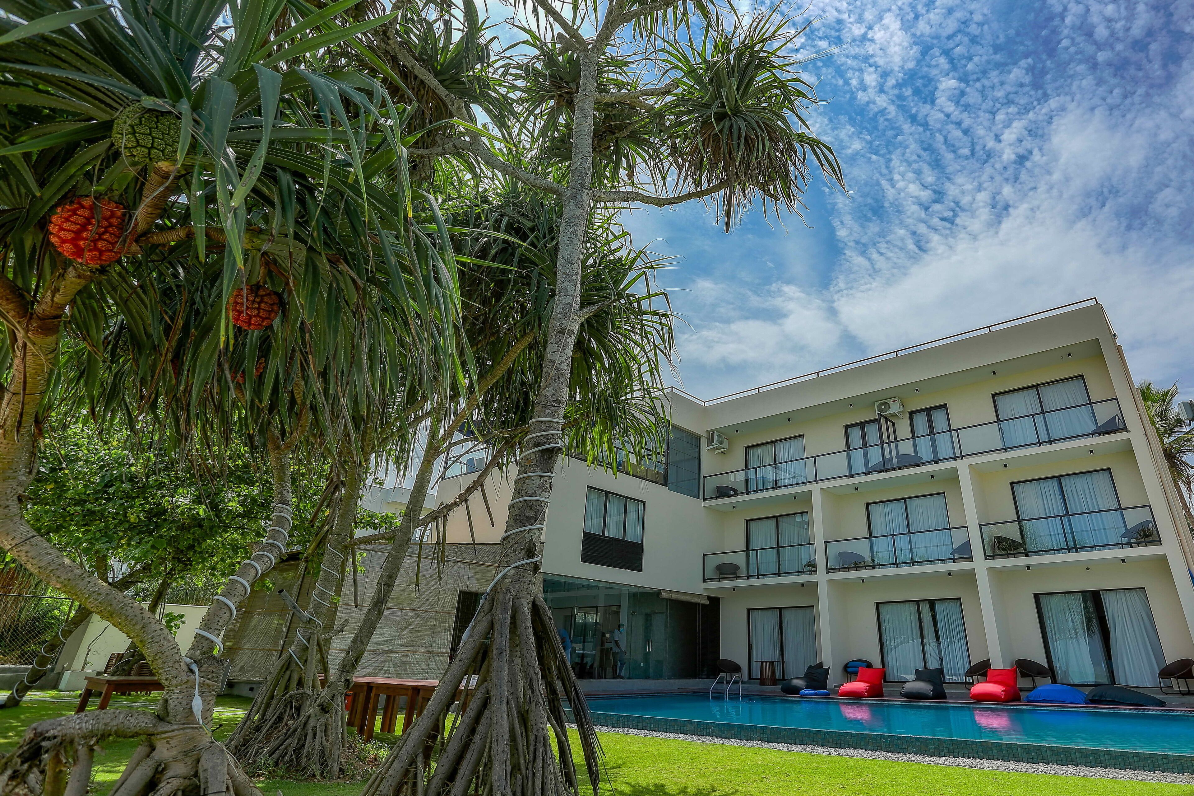 Outdoor pool, pool loungers