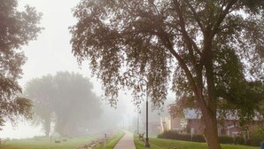 Ein nebliger Park mit einem gepflasterten Weg, Bäumen und Gebäuden in der Ferne.