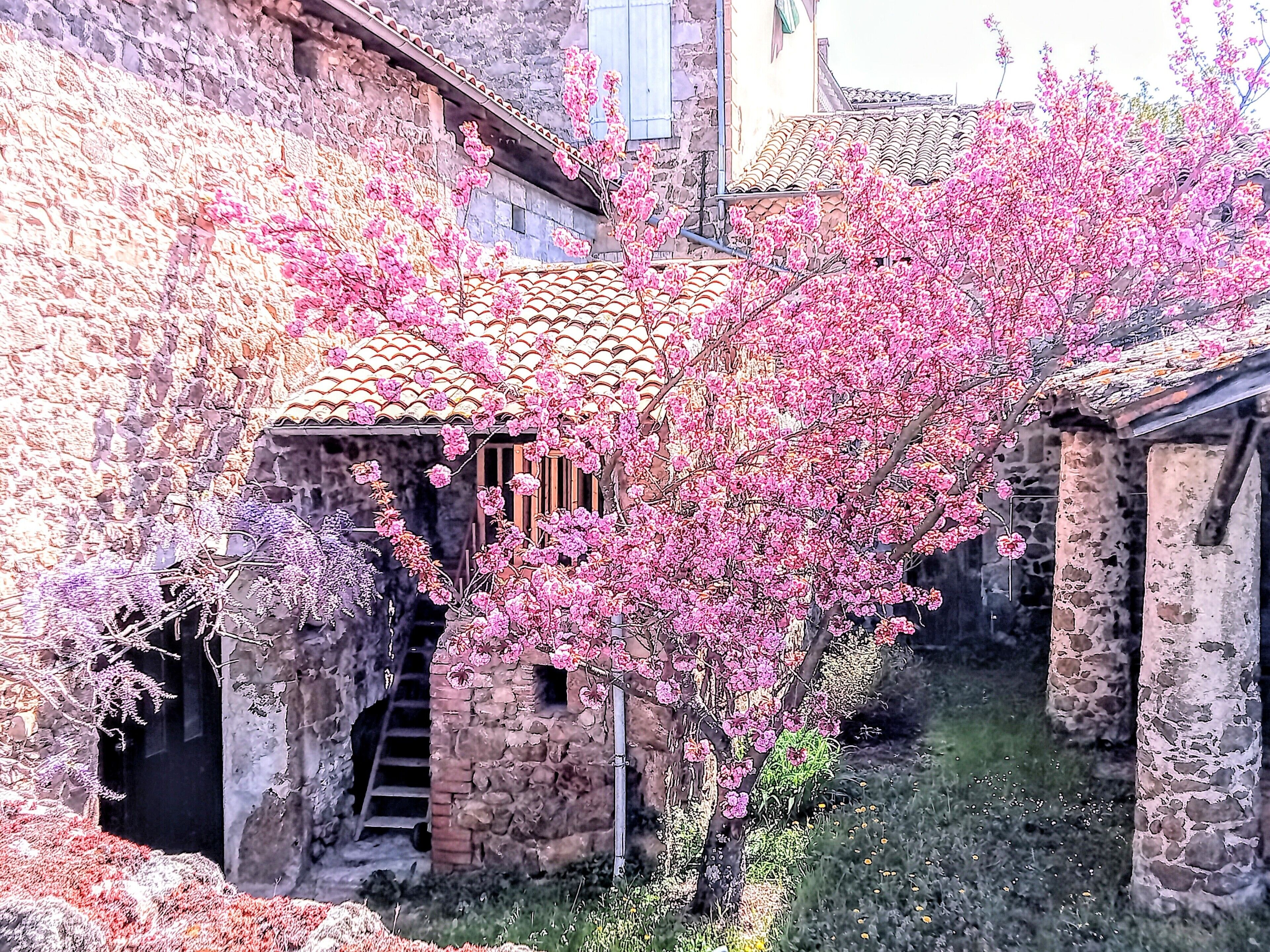 cour intérieure 