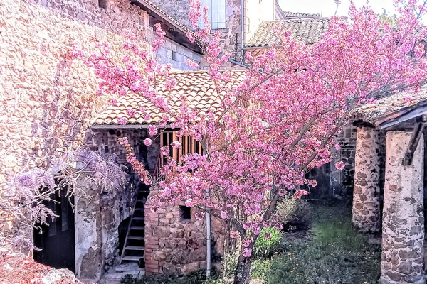 cour intérieure
