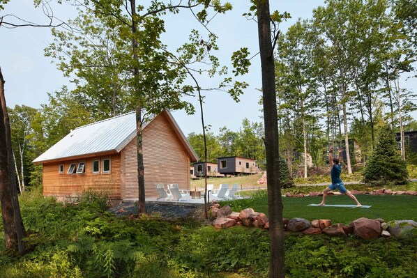 A wooden cabin with a metal roof, surrounded by lush greenery and trees.