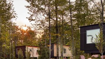 A forested area with cabins and a billboard.