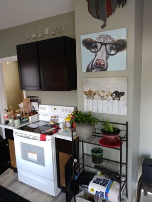 Private kitchen - Cozy cottage easy downtown/soma access (Little Rock)