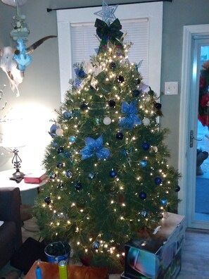 Interior - Cozy cottage easy downtown/soma access (Little Rock)