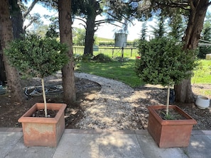 Jardines del alojamiento