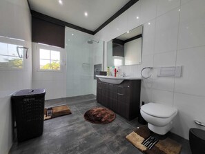 Bathtub, hair dryer, towels, toilet paper
