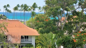 A coastal property with a red-roofed building, lush greenery, and a view of the ocean and palm trees. - Kiahuna Plantation Ocean View with AC, REMODELED, 1 Bedroom, Sleeps 4 (Poipu)