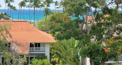 Kiahuna Plantation Ocean View with AC, REMODELED, 1 Bedroom, Sleeps 4