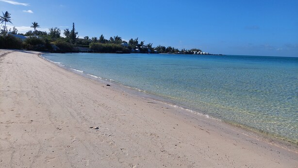 A beach with clear water, a sandy shore, and a line of trees and buildings in the background. - 1-bed House Sleeps 2 With Parking (Sandys Parish)