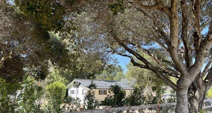 Relax by the river & sea! Remodeled Mid-Carmel Valley cottage retreat