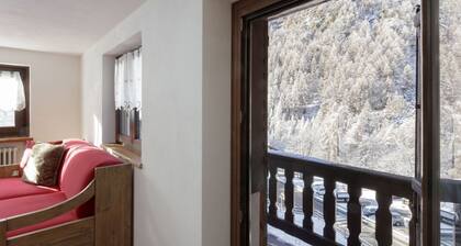 Friendly Apartment walking distance village center and ski bus gondola .