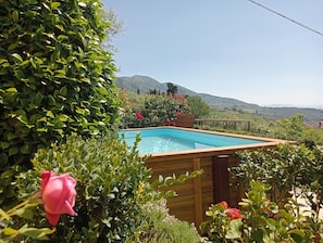 Piscina retangular com deck de madeira, cercada por vegetação exuberante e plantas floridas, com montanhas ao fundo.