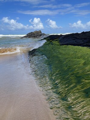 Beach nearby, sun loungers, beach towels