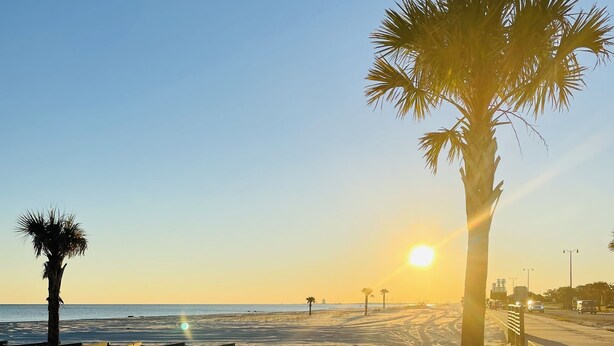 Una playa con palmeras y un cielo despejado.