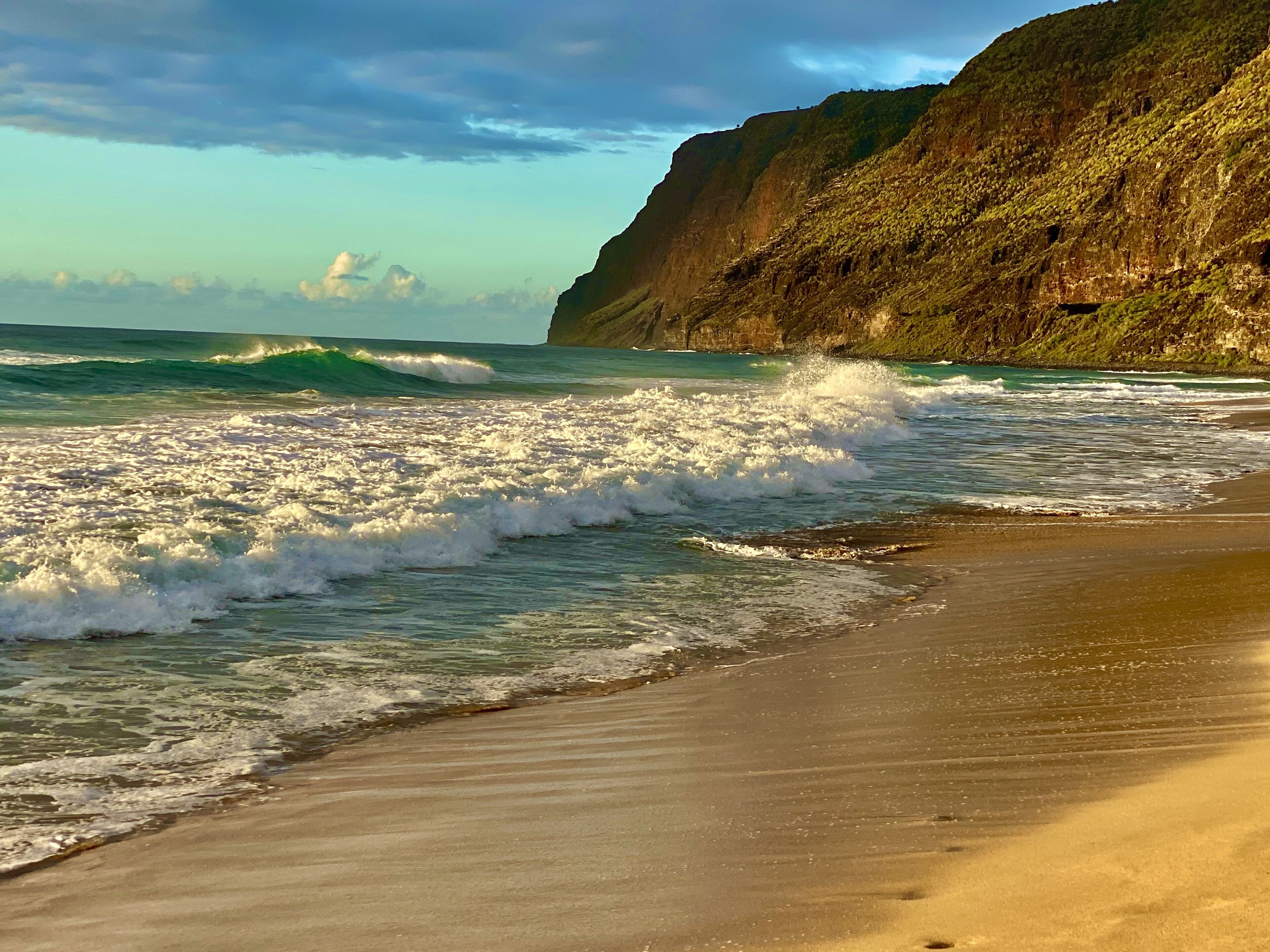 ビーチの近く、サンラウンジャー、ビーチタオル