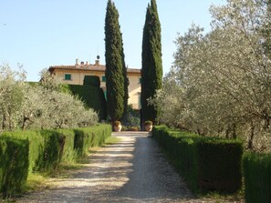 Esterni