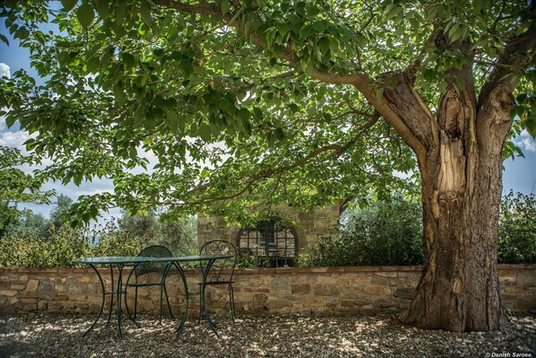 Une table et des chaises placées sous un arbre dans un jardin, avec un mur de pierre et un bâtiment en arrière-plan.