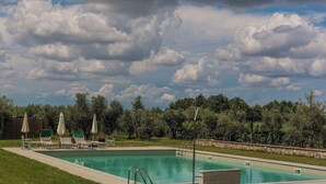 Ein rechteckiger Swimmingpool mit Steinbordstein, umgeben von Gras und Bäumen.