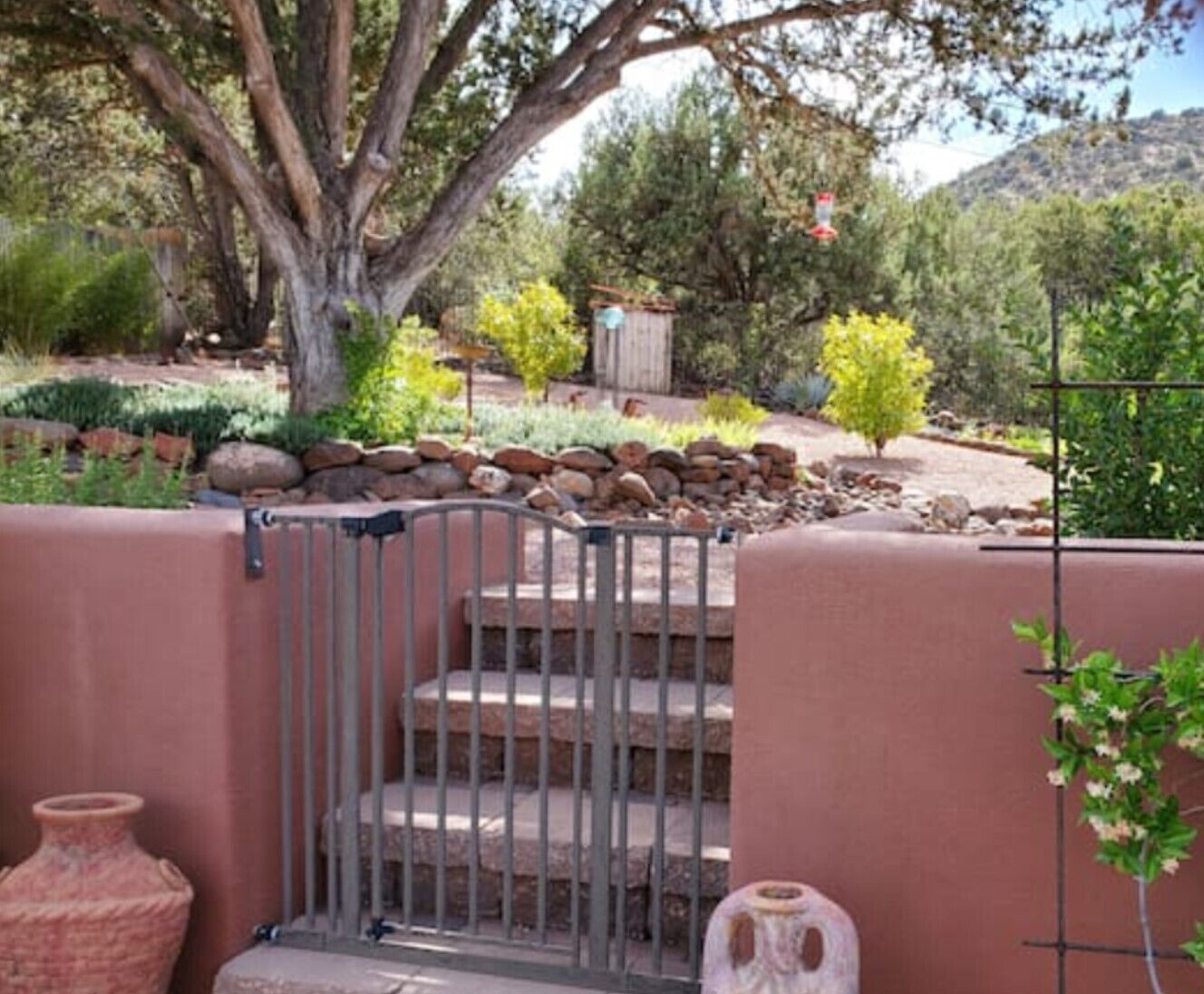 Une entrée fermée par un portail, avec des marches menant à une zone abritée, le tout entouré d’un jardin aménagé avec différentes plantes et un petit abri de jardin.