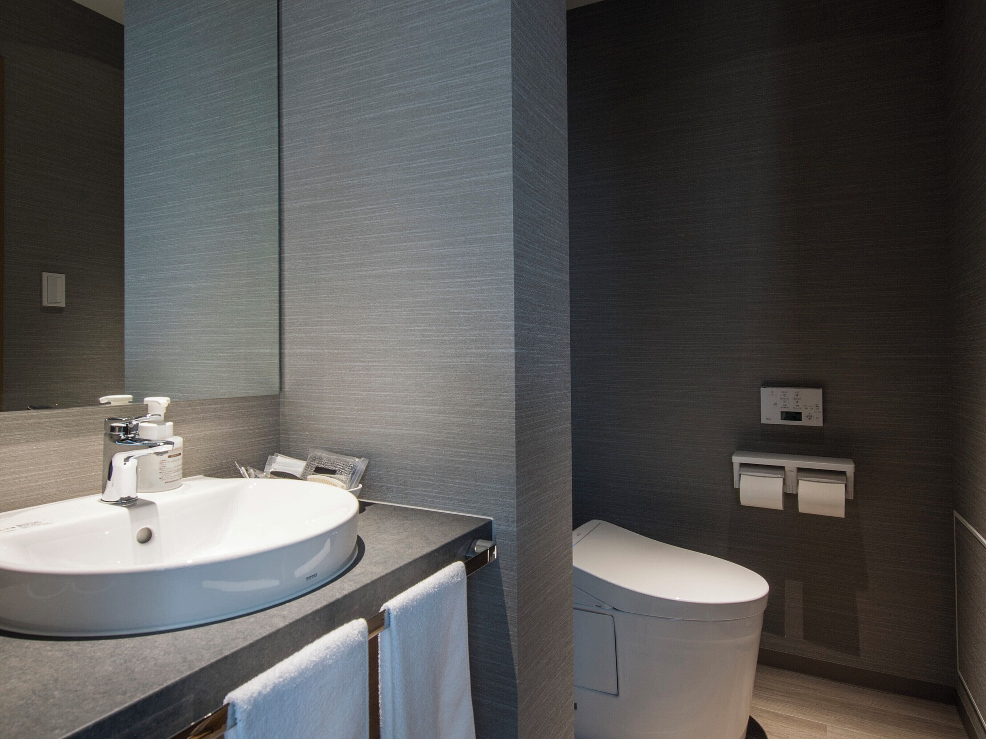 deluxe twin room | bathroom | combined shower/bathtub, hydromassage showerhead, hair dryer, slippers