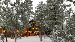 Una cabaña de troncos con fachada de madera, rodeada de árboles cubiertos de nieve.
