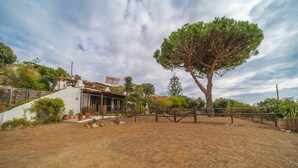 Une maison rustique dotée d’un porche abrité, entourée d’herbe sèche et d’un grand arbre.
