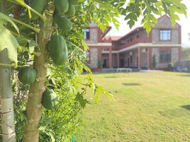 Televisión LCD 32 pulgadas con canales de televisión por cable