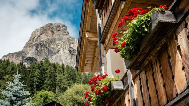 Un edificio in legno con fioriere sulla parete esterna, una montagna sullo sfondo e un abete a sinistra.