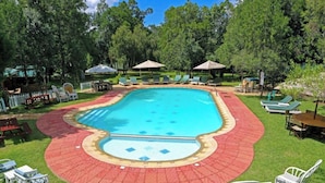 A swimming pool with a red tiled deck, surrounded by green lawn chairs and umbrellas. - Kongoni Camp (Nanyuki)