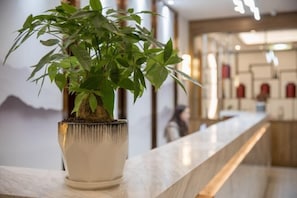A potted plant on a marble countertop in a modern interior setting.